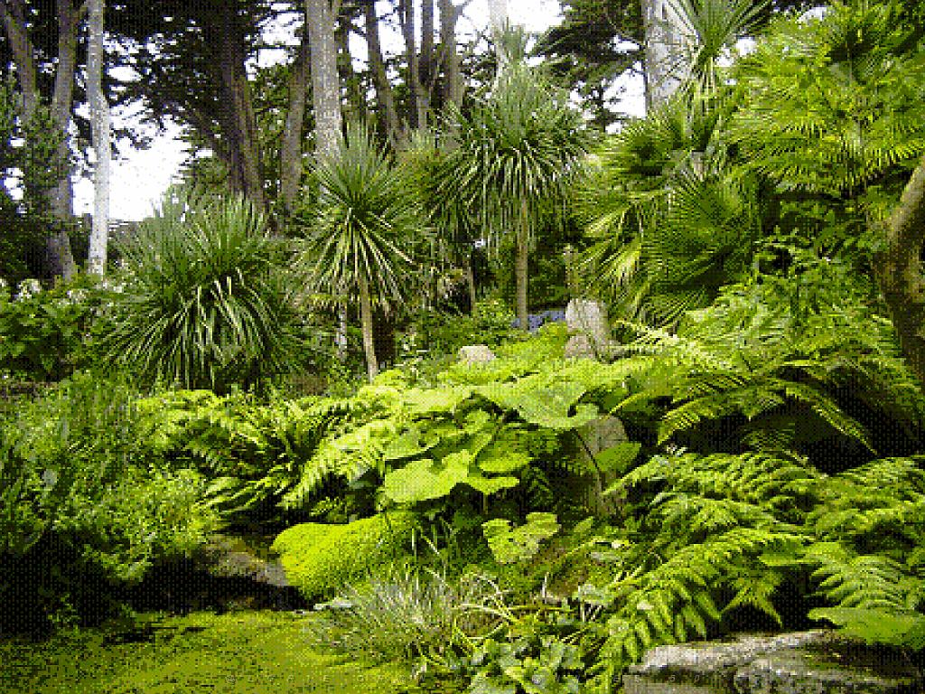 130 Ile de Batz Jardin Georges Delaselle_000040.jpg